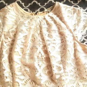 Cream lace knee length dress